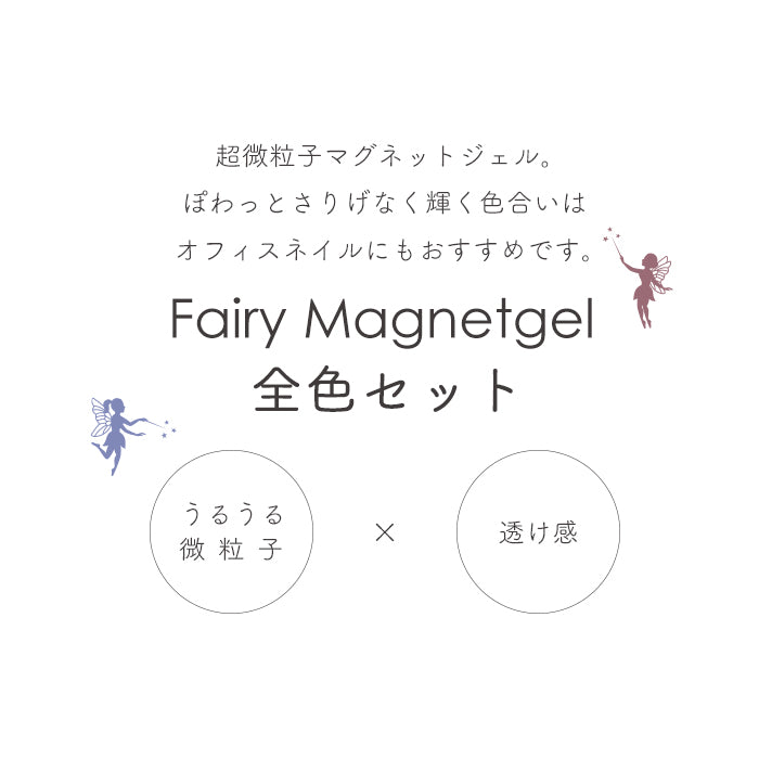 【全6色セット】inbity fairy magnetgel フェアリーマグネットジェル【4ミクロン】