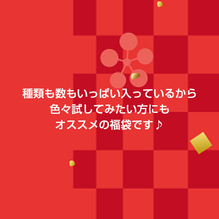 レジンお楽しみ2025福袋【小】【対象外】