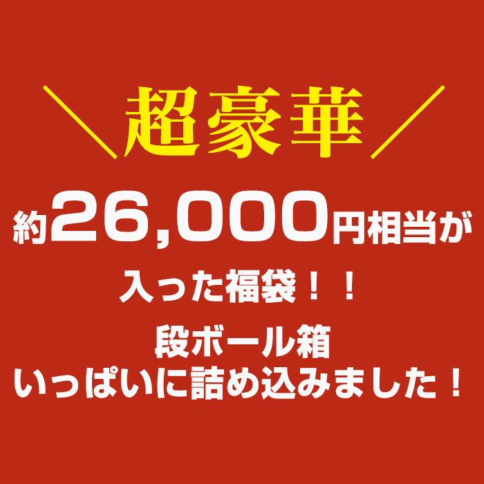 レジンお楽しみ2025福袋【大】【対象外】