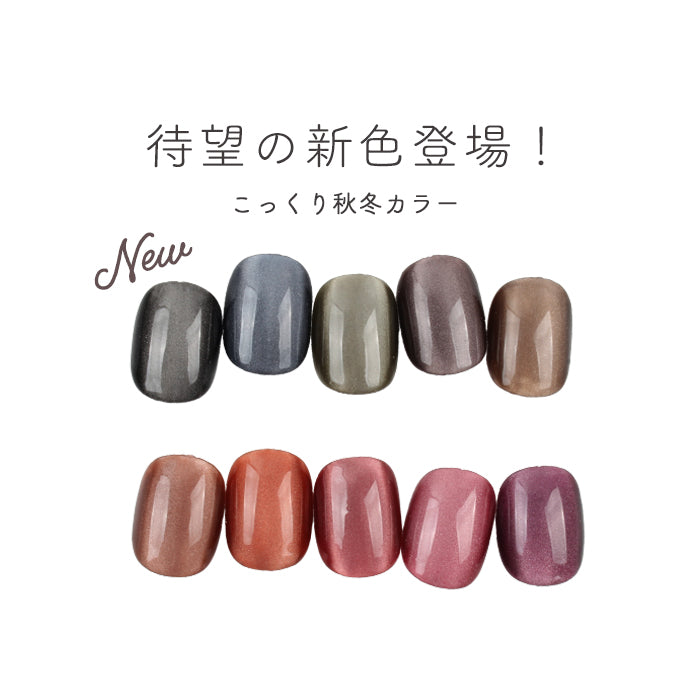 【9/13(Fri)12:00～新色発売】inbity SilkMagnetgel シルクマグネットジェル【8ミクロン】