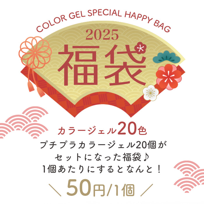 2025年福袋 カラージェル20色セット【対象外】